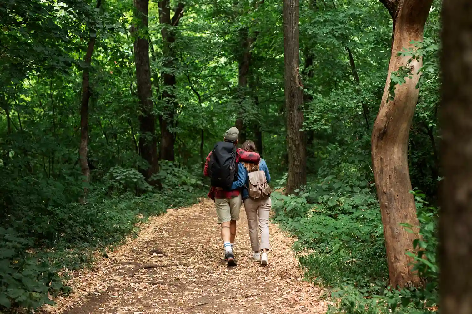 Nature Walk Trail