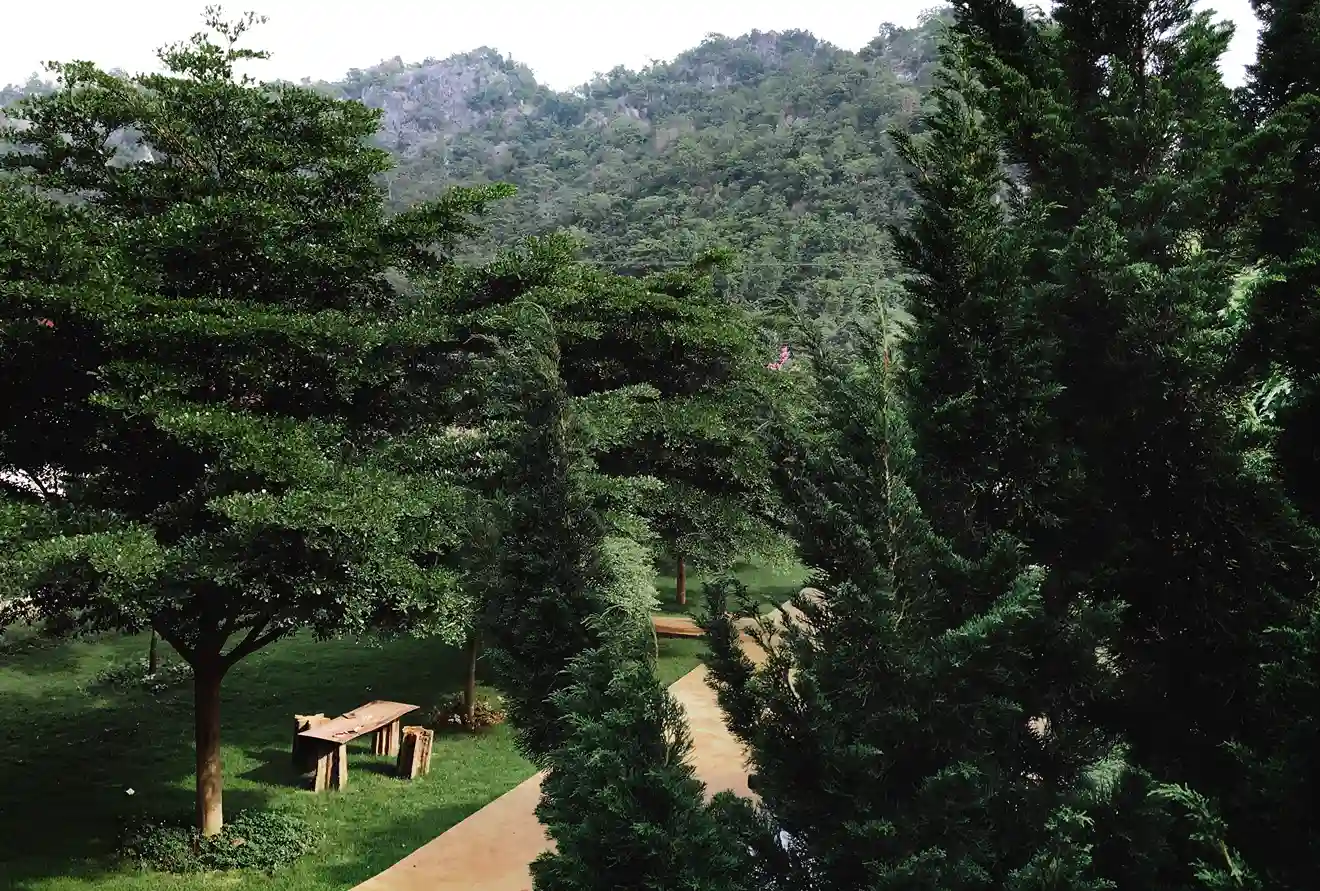 Standard Garden View Room